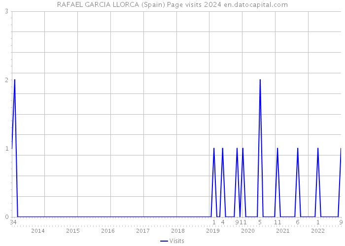 RAFAEL GARCIA LLORCA (Spain) Page visits 2024 