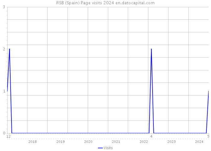 RSB (Spain) Page visits 2024 