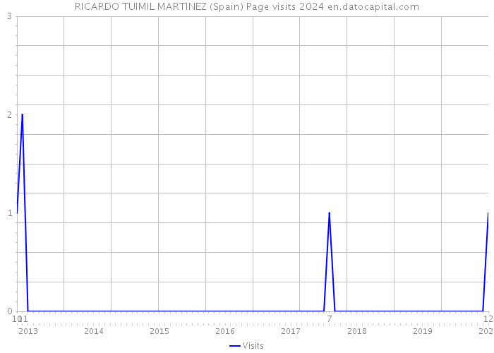 RICARDO TUIMIL MARTINEZ (Spain) Page visits 2024 