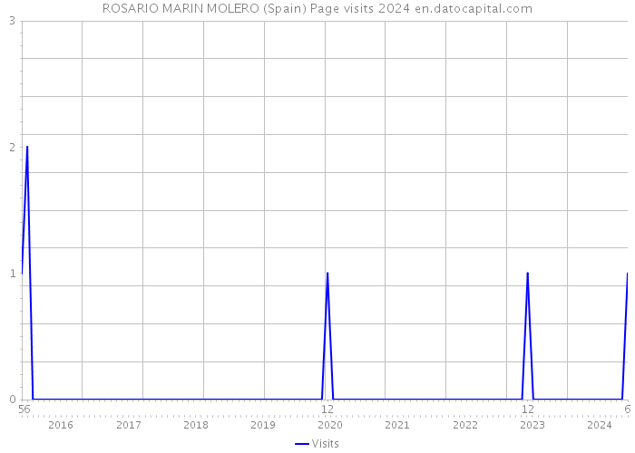ROSARIO MARIN MOLERO (Spain) Page visits 2024 