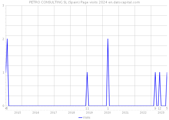 PETRO CONSULTING SL (Spain) Page visits 2024 