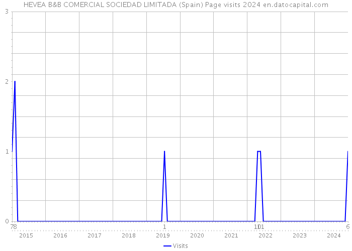 HEVEA B&B COMERCIAL SOCIEDAD LIMITADA (Spain) Page visits 2024 