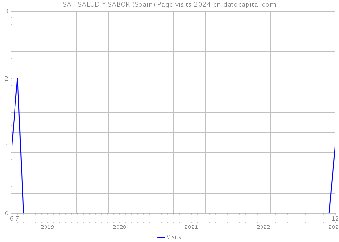 SAT SALUD Y SABOR (Spain) Page visits 2024 