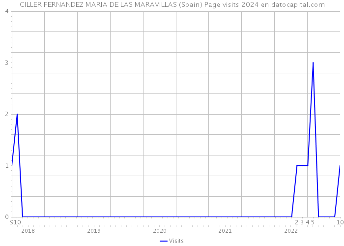 CILLER FERNANDEZ MARIA DE LAS MARAVILLAS (Spain) Page visits 2024 