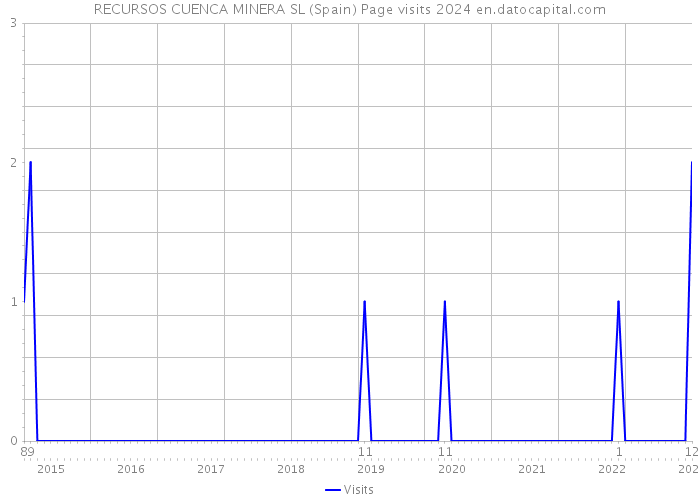 RECURSOS CUENCA MINERA SL (Spain) Page visits 2024 