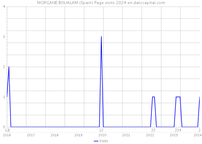 MORGANE BOUALAM (Spain) Page visits 2024 