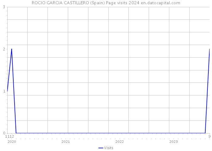 ROCIO GARCIA CASTILLERO (Spain) Page visits 2024 