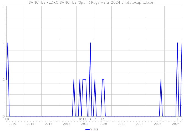 SANCHEZ PEDRO SANCHEZ (Spain) Page visits 2024 