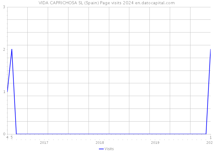 VIDA CAPRICHOSA SL (Spain) Page visits 2024 