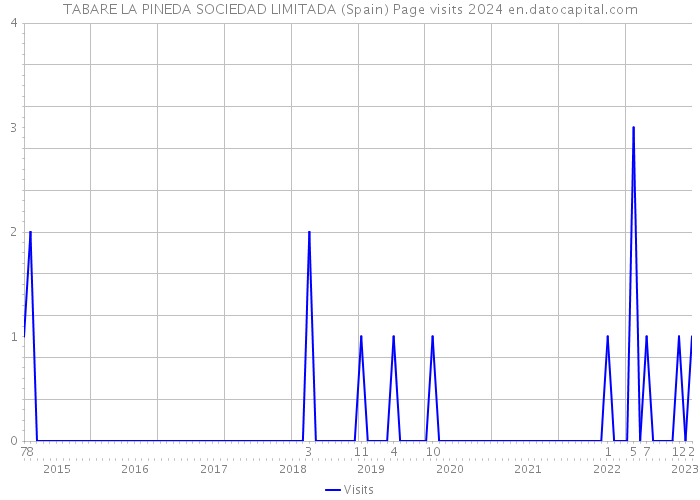 TABARE LA PINEDA SOCIEDAD LIMITADA (Spain) Page visits 2024 