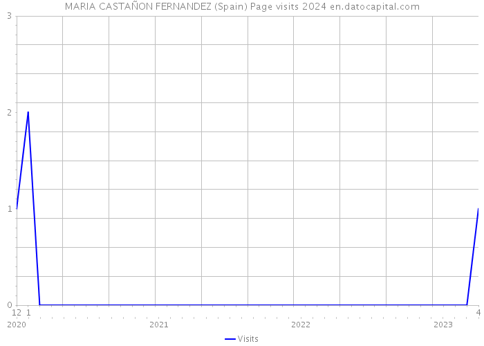 MARIA CASTAÑON FERNANDEZ (Spain) Page visits 2024 