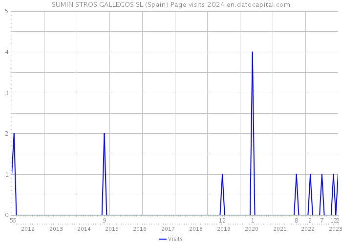 SUMINISTROS GALLEGOS SL (Spain) Page visits 2024 