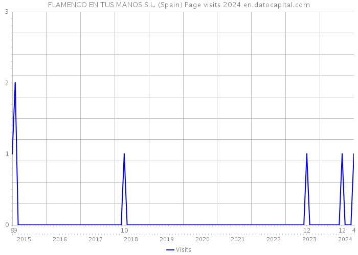 FLAMENCO EN TUS MANOS S.L. (Spain) Page visits 2024 