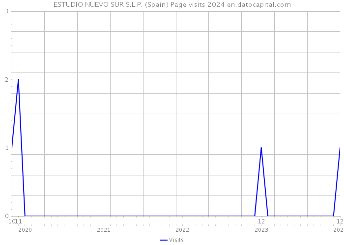 ESTUDIO NUEVO SUR S.L.P. (Spain) Page visits 2024 