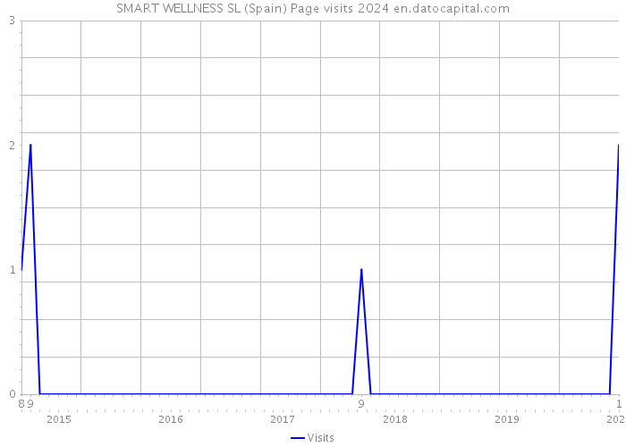 SMART WELLNESS SL (Spain) Page visits 2024 