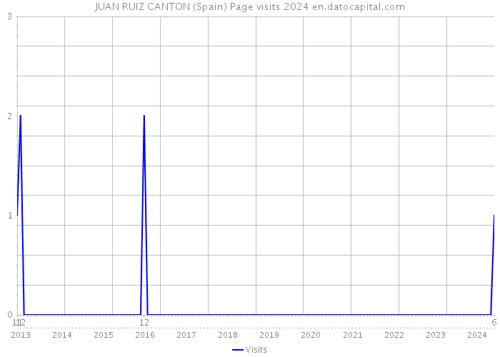 JUAN RUIZ CANTON (Spain) Page visits 2024 