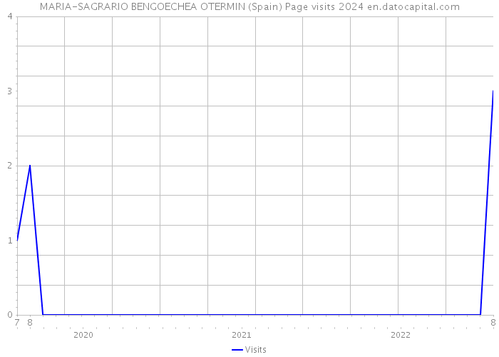 MARIA-SAGRARIO BENGOECHEA OTERMIN (Spain) Page visits 2024 