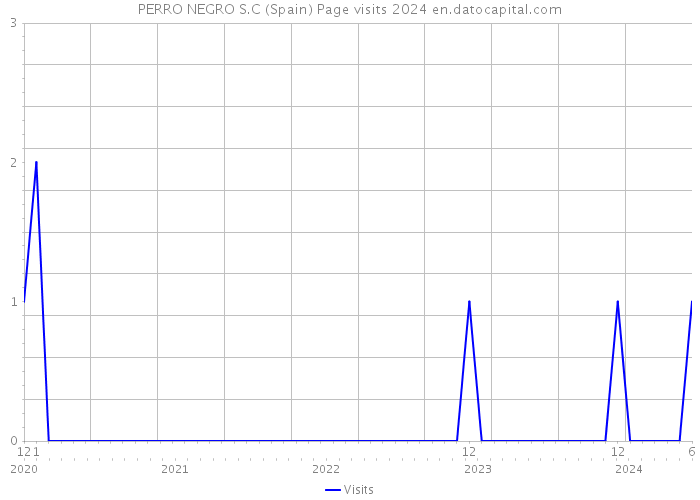 PERRO NEGRO S.C (Spain) Page visits 2024 