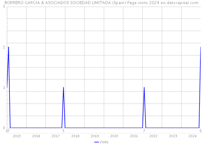 BORRERO GARCIA & ASOCIADOS SOCIEDAD LIMITADA (Spain) Page visits 2024 