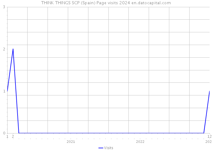 THINK THINGS SCP (Spain) Page visits 2024 