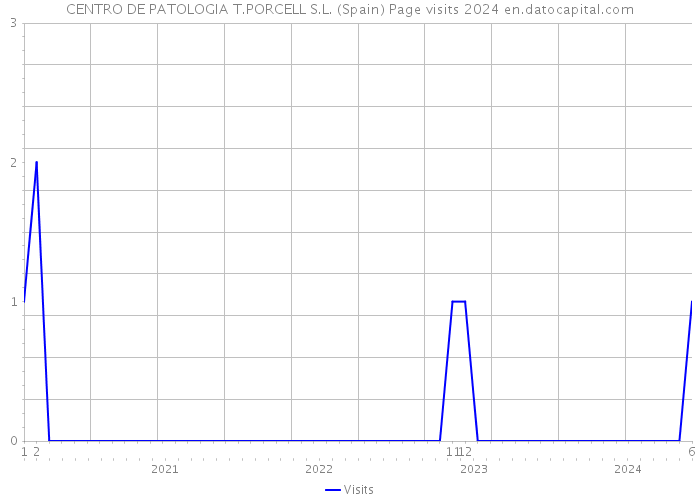 CENTRO DE PATOLOGIA T.PORCELL S.L. (Spain) Page visits 2024 