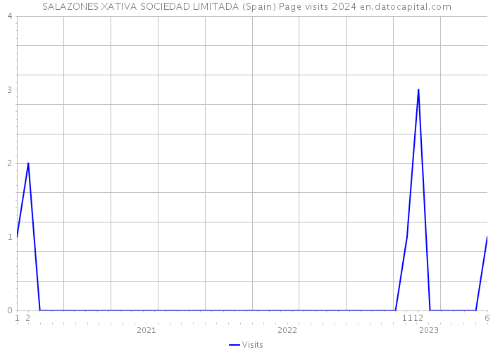 SALAZONES XATIVA SOCIEDAD LIMITADA (Spain) Page visits 2024 
