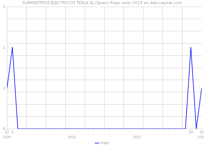 SUMINISTROS ELECTRICOS TESLA SL (Spain) Page visits 2024 