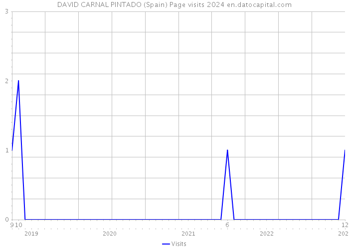 DAVID CARNAL PINTADO (Spain) Page visits 2024 