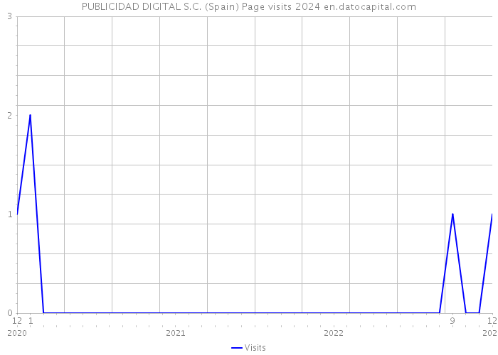 PUBLICIDAD DIGITAL S.C. (Spain) Page visits 2024 