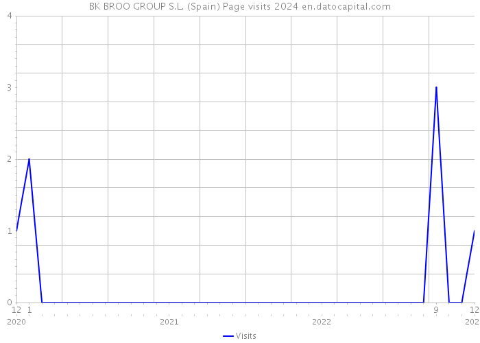 BK BROO GROUP S.L. (Spain) Page visits 2024 