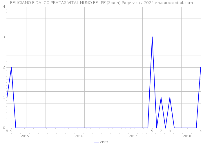 FELICIANO FIDALGO PRATAS VITAL NUNO FELIPE (Spain) Page visits 2024 