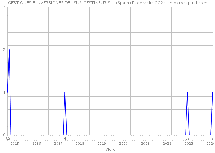 GESTIONES E INVERSIONES DEL SUR GESTINSUR S.L. (Spain) Page visits 2024 