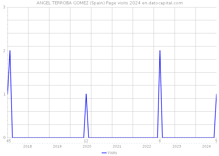 ANGEL TERROBA GOMEZ (Spain) Page visits 2024 
