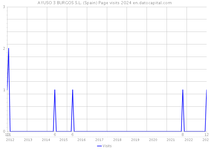 AYUSO 3 BURGOS S.L. (Spain) Page visits 2024 