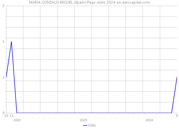 MARIA GONZALO MIGUEL (Spain) Page visits 2024 