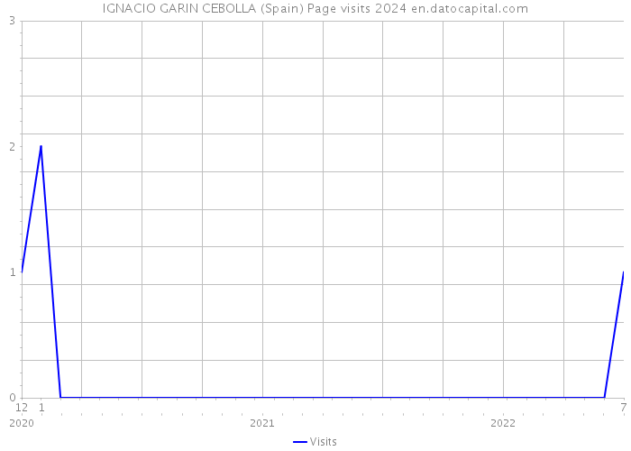 IGNACIO GARIN CEBOLLA (Spain) Page visits 2024 