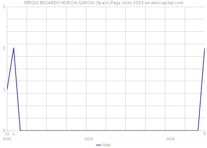 SERGIO EDUARDO MURCIA GARCIA (Spain) Page visits 2024 