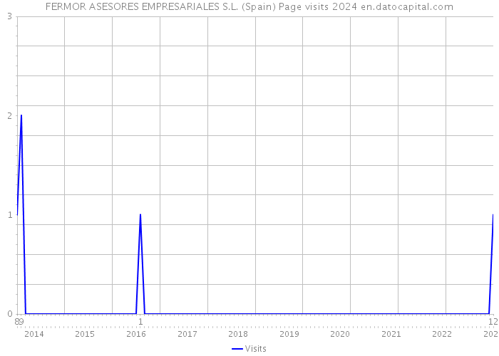 FERMOR ASESORES EMPRESARIALES S.L. (Spain) Page visits 2024 