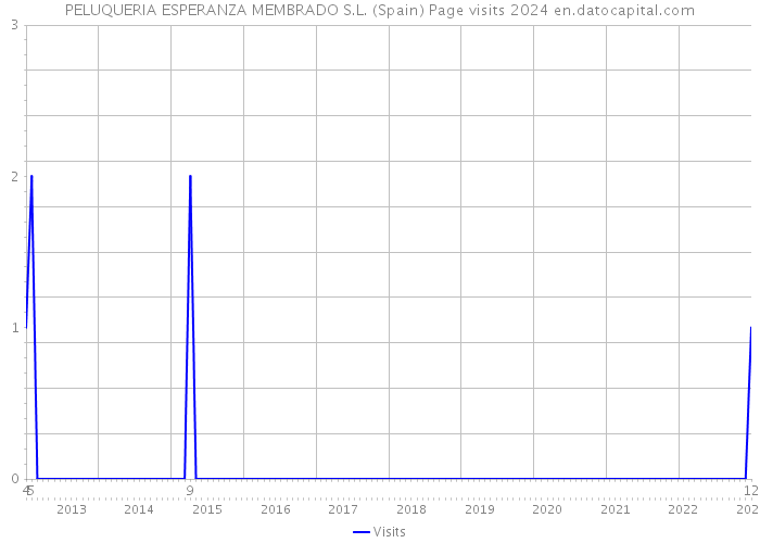 PELUQUERIA ESPERANZA MEMBRADO S.L. (Spain) Page visits 2024 