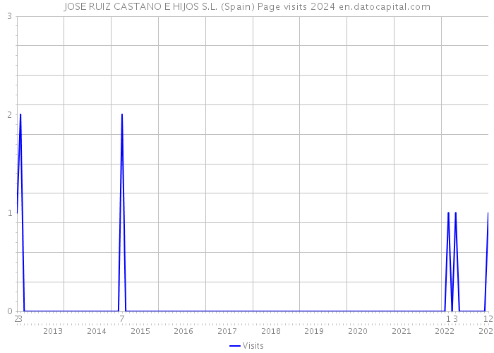 JOSE RUIZ CASTANO E HIJOS S.L. (Spain) Page visits 2024 