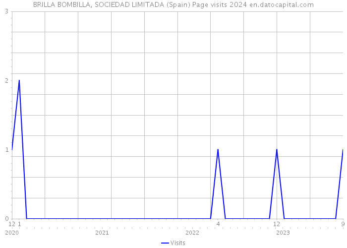 BRILLA BOMBILLA, SOCIEDAD LIMITADA (Spain) Page visits 2024 