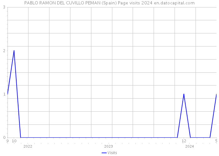 PABLO RAMON DEL CUVILLO PEMAN (Spain) Page visits 2024 