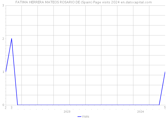 FATIMA HERRERA MATEOS ROSARIO DE (Spain) Page visits 2024 