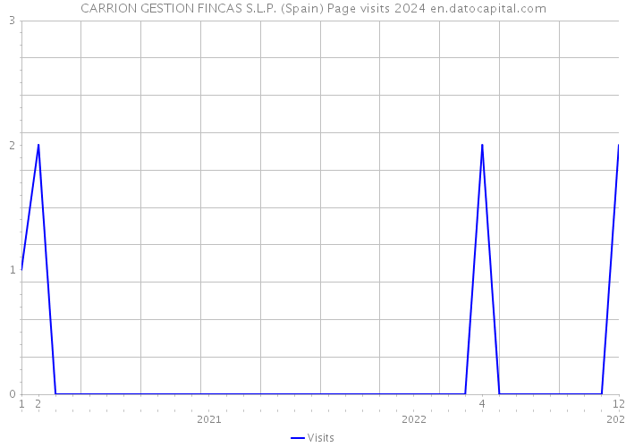 CARRION GESTION FINCAS S.L.P. (Spain) Page visits 2024 