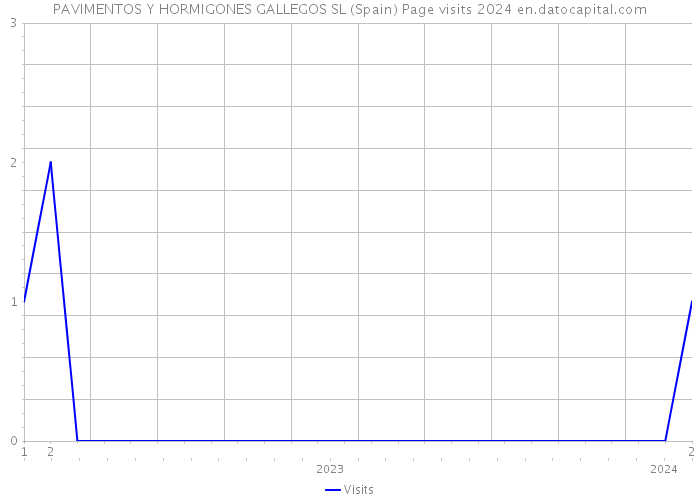 PAVIMENTOS Y HORMIGONES GALLEGOS SL (Spain) Page visits 2024 