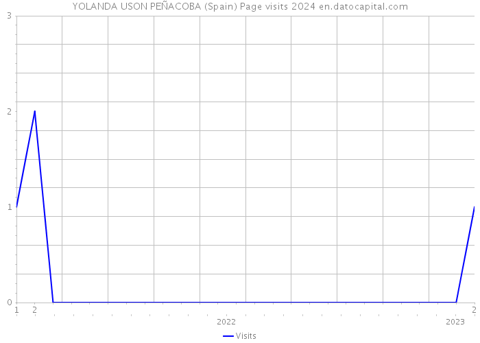YOLANDA USON PEÑACOBA (Spain) Page visits 2024 