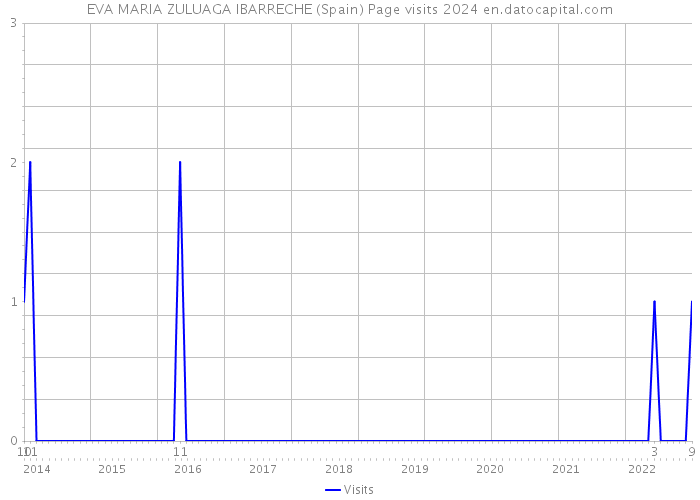 EVA MARIA ZULUAGA IBARRECHE (Spain) Page visits 2024 