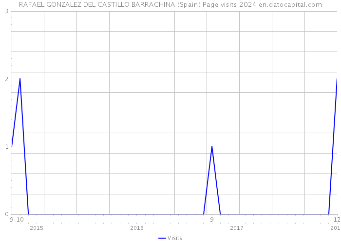 RAFAEL GONZALEZ DEL CASTILLO BARRACHINA (Spain) Page visits 2024 