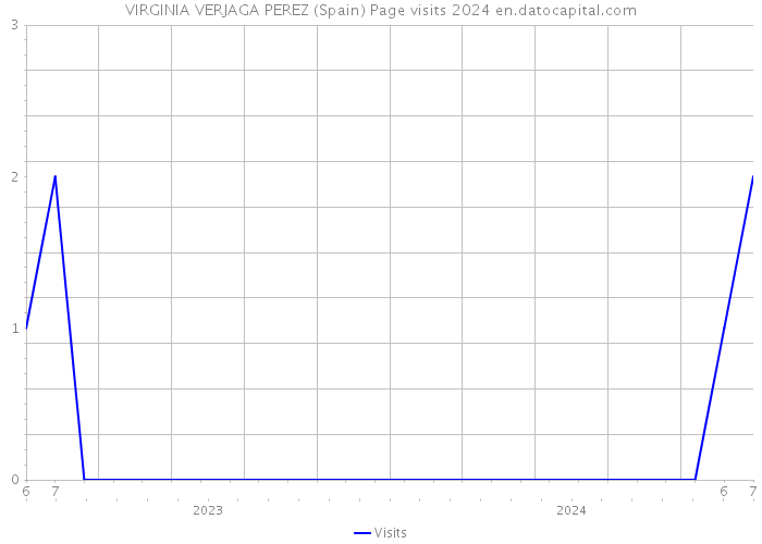 VIRGINIA VERJAGA PEREZ (Spain) Page visits 2024 