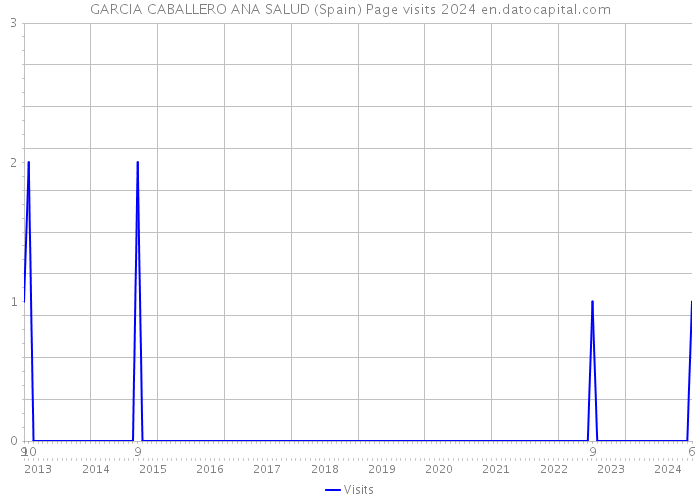 GARCIA CABALLERO ANA SALUD (Spain) Page visits 2024 